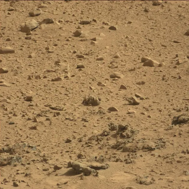 Sol 64: Mast Camera (Mastcam)