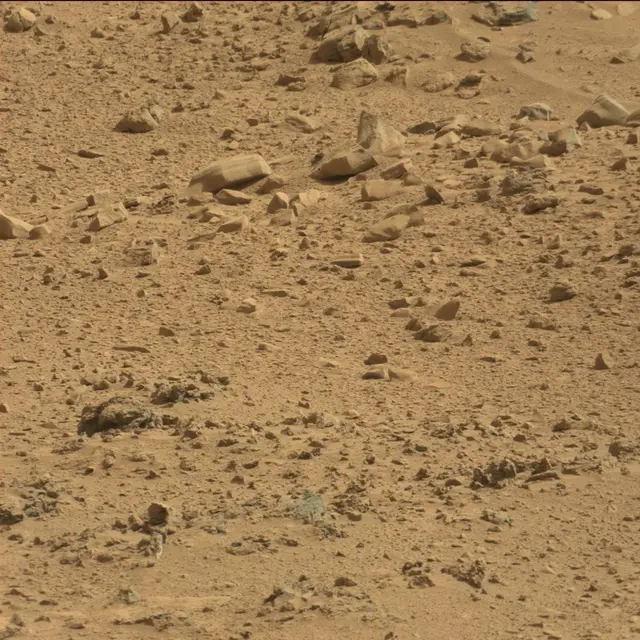 Sol 64: Mast Camera (Mastcam)