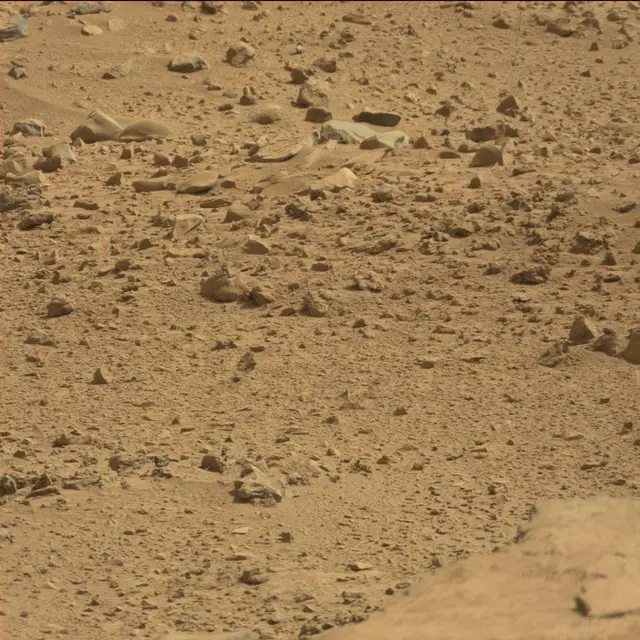 Sol 64: Mast Camera (Mastcam)