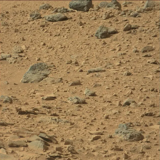 Sol 66: Mast Camera (Mastcam)