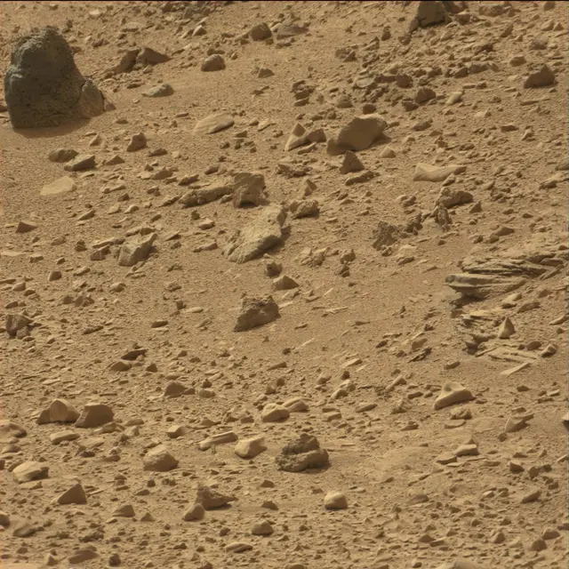 Sol 66: Mast Camera (Mastcam)