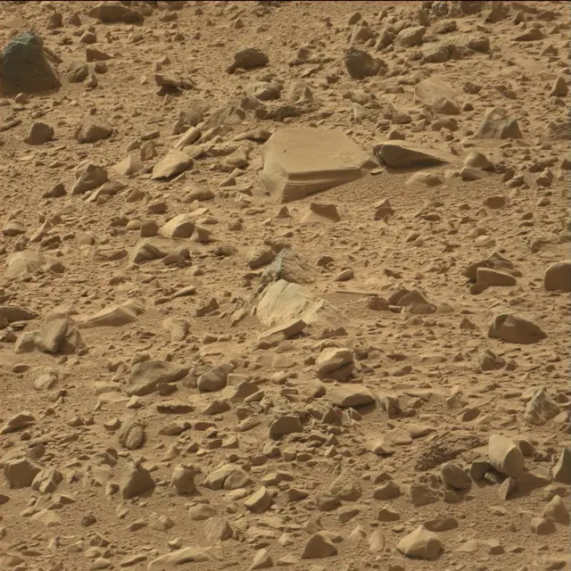 Sol 66: Mast Camera (Mastcam)