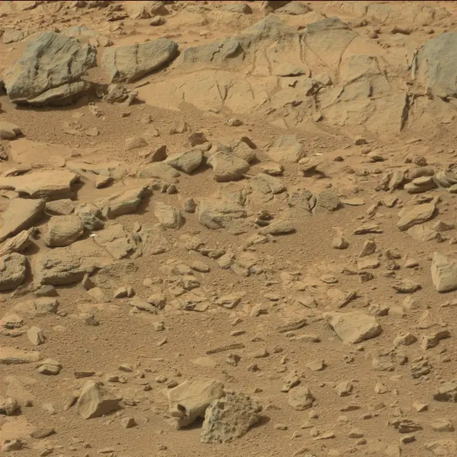 Sol 66: Mast Camera (Mastcam)