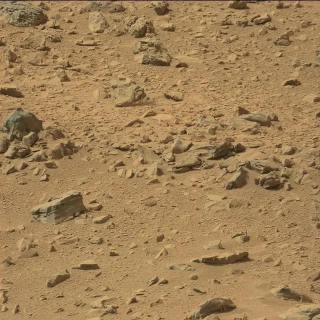 Sol 66: Mast Camera (Mastcam)