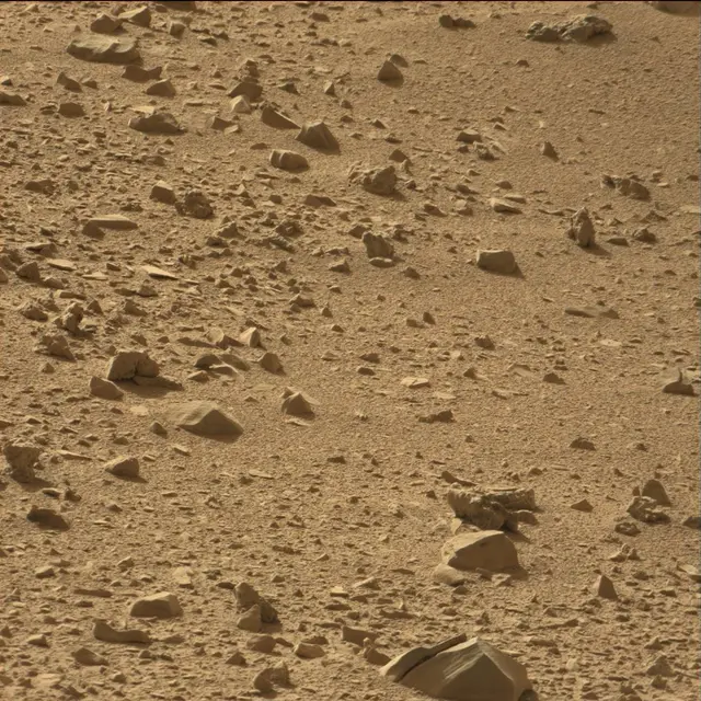 Sol 67: Mast Camera (Mastcam)