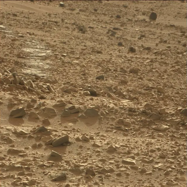 Sol 70: Mast Camera (Mastcam)