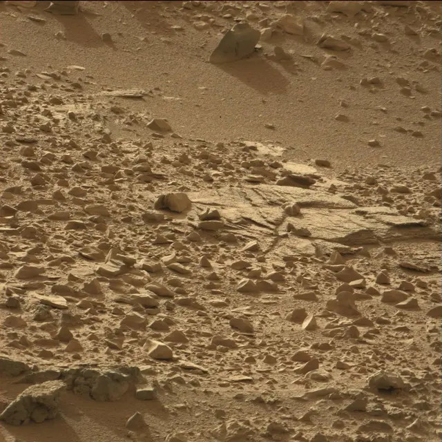 Sol 70: Mast Camera (Mastcam)