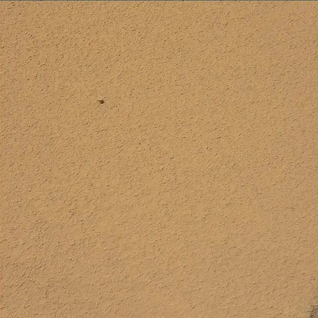 Sol 71: Mast Camera (Mastcam)