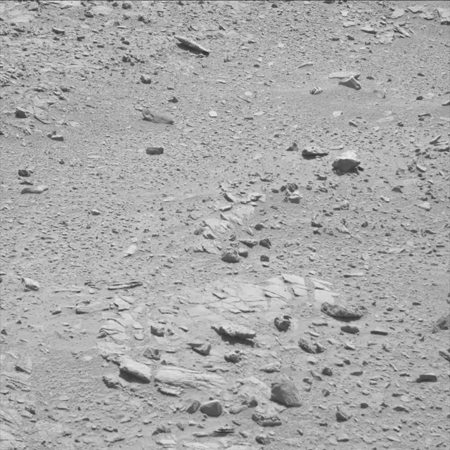 Sol 71: Mast Camera (Mastcam)