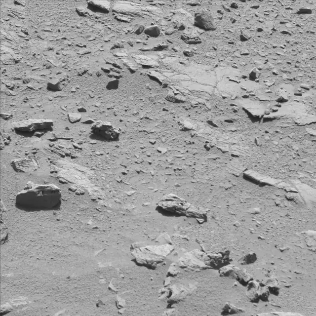Sol 71: Mast Camera (Mastcam)
