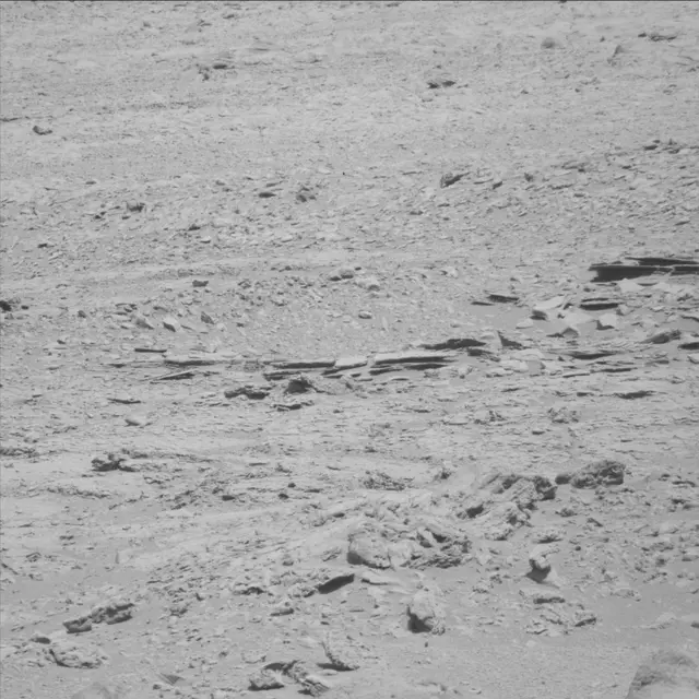 Sol 71: Mast Camera (Mastcam)