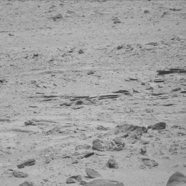 Sol 71: Mast Camera (Mastcam)