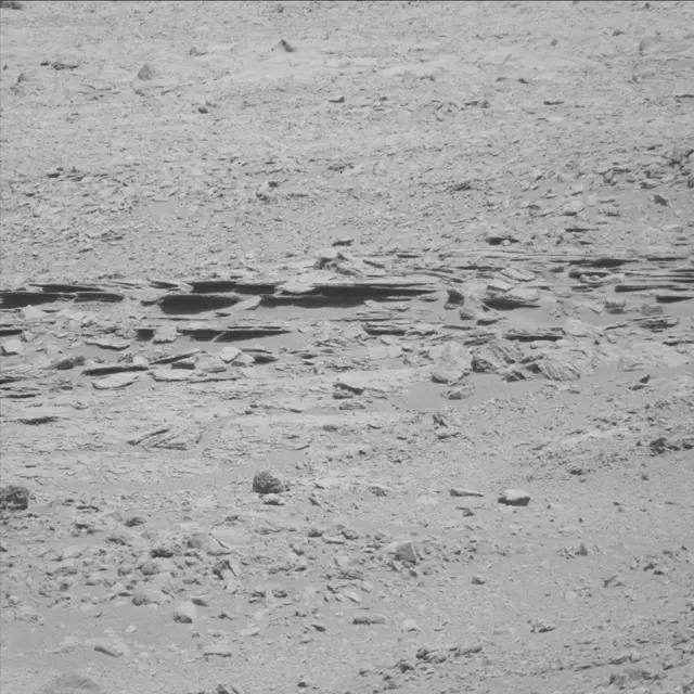 Sol 71: Mast Camera (Mastcam)