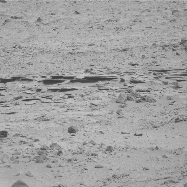 Sol 71: Mast Camera (Mastcam)