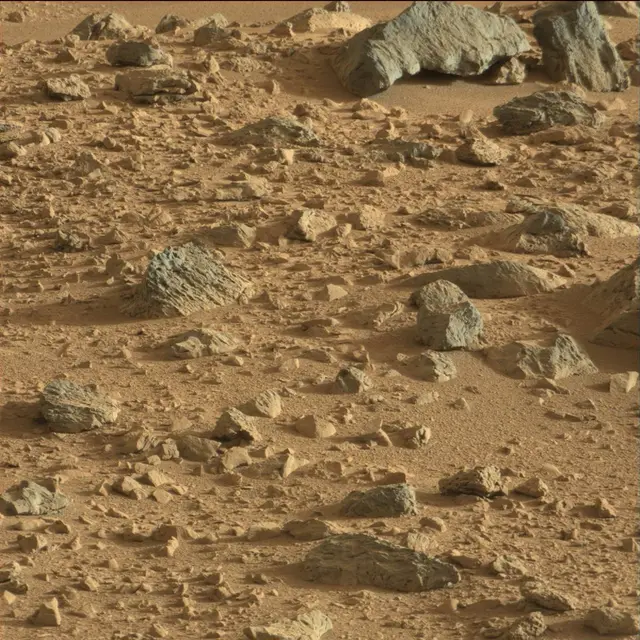 Sol 72: Mast Camera (Mastcam)
