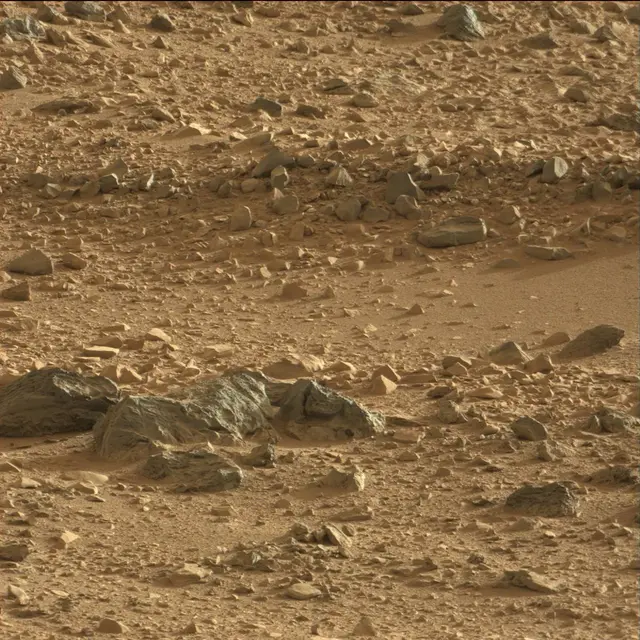 Sol 74: Mast Camera (Mastcam)