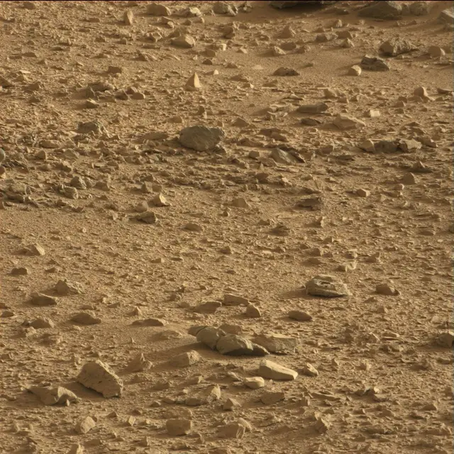 Sol 74: Mast Camera (Mastcam)