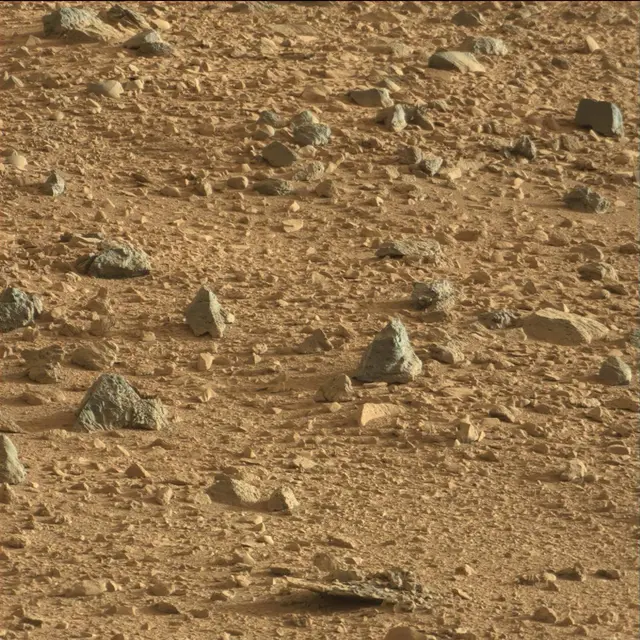 Sol 74: Mast Camera (Mastcam)