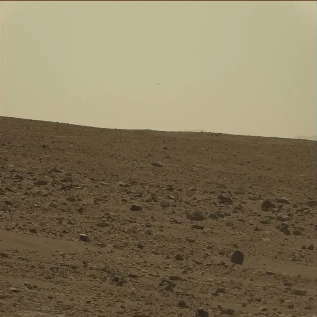 Sol 75: Mast Camera (Mastcam)