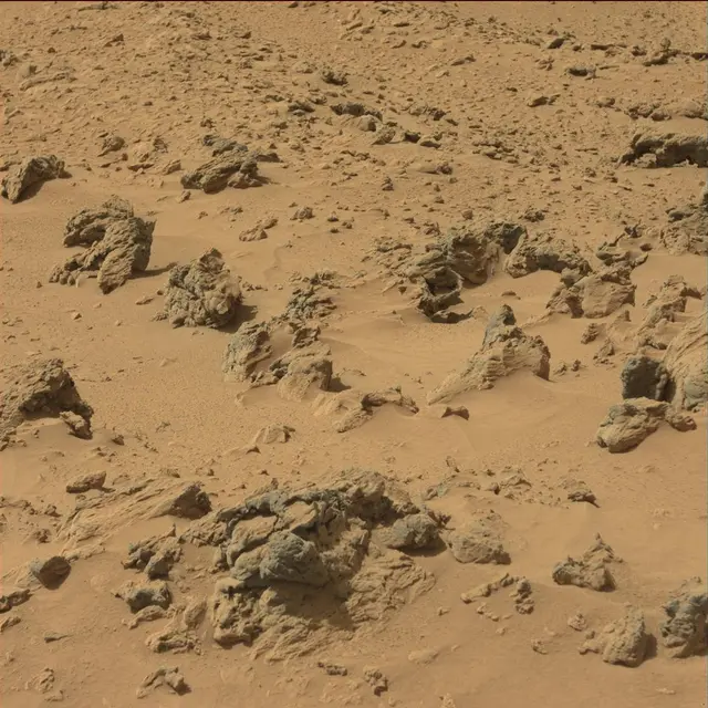 Sol 77: Mast Camera (Mastcam)