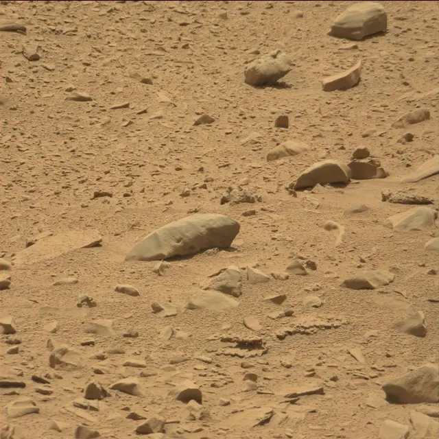 Sol 77: Mast Camera (Mastcam)
