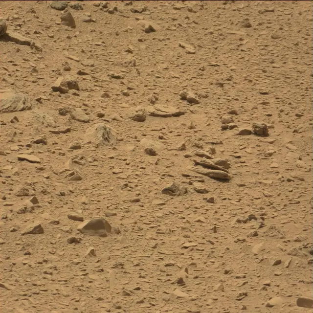 Sol 77: Mast Camera (Mastcam)