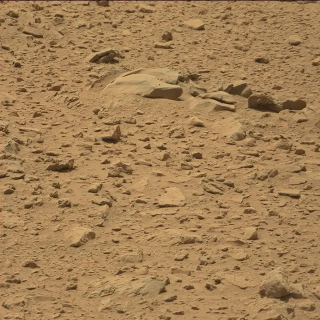 Sol 77: Mast Camera (Mastcam)