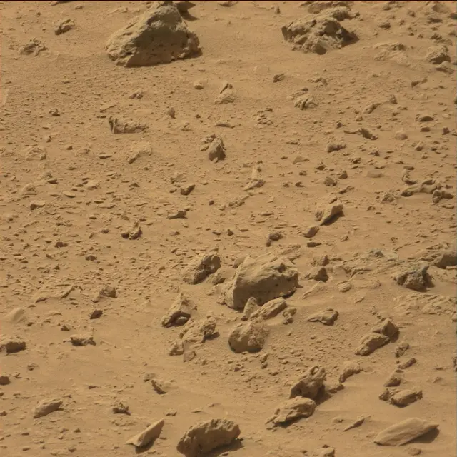 Sol 77: Mast Camera (Mastcam)