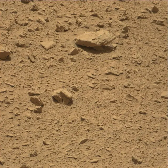 Sol 77: Mast Camera (Mastcam)