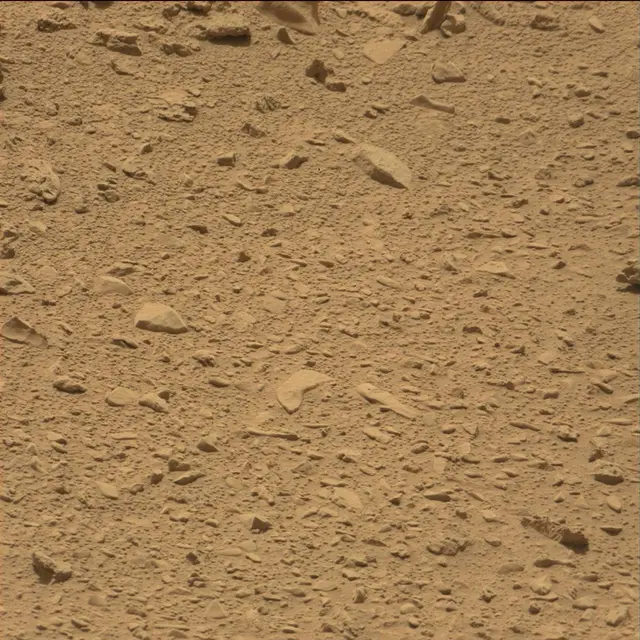 Sol 77: Mast Camera (Mastcam)