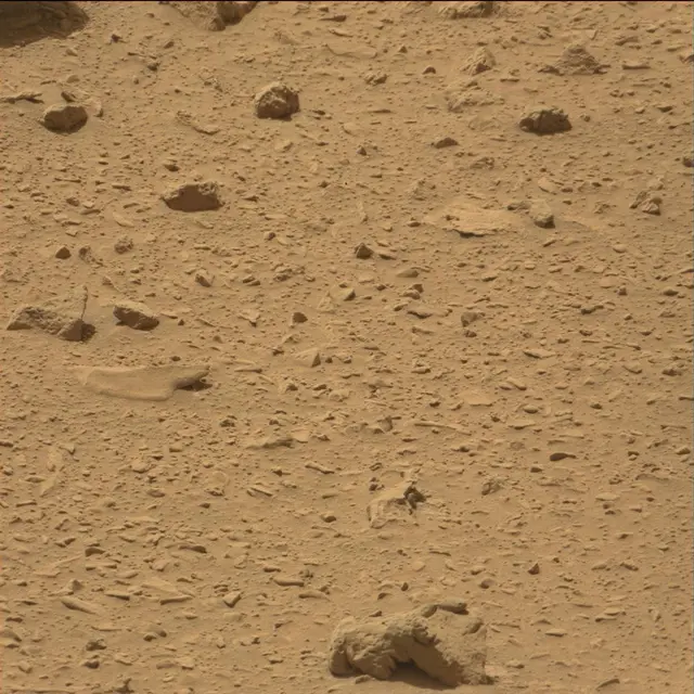 Sol 77: Mast Camera (Mastcam)