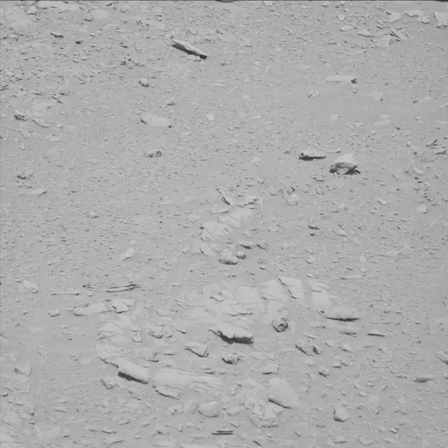 Sol 78: Mast Camera (Mastcam)