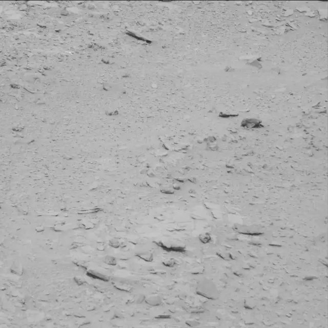 Sol 78: Mast Camera (Mastcam)