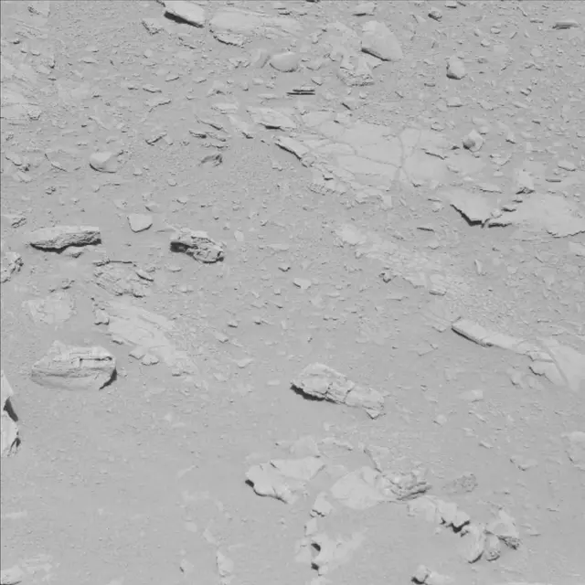 Sol 78: Mast Camera (Mastcam)