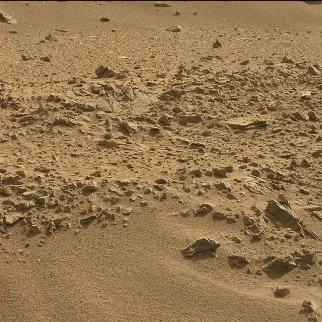 Sol 78: Mast Camera (Mastcam)