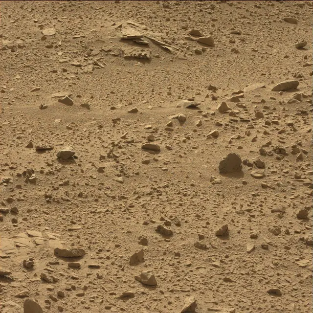 Sol 78: Mast Camera (Mastcam)