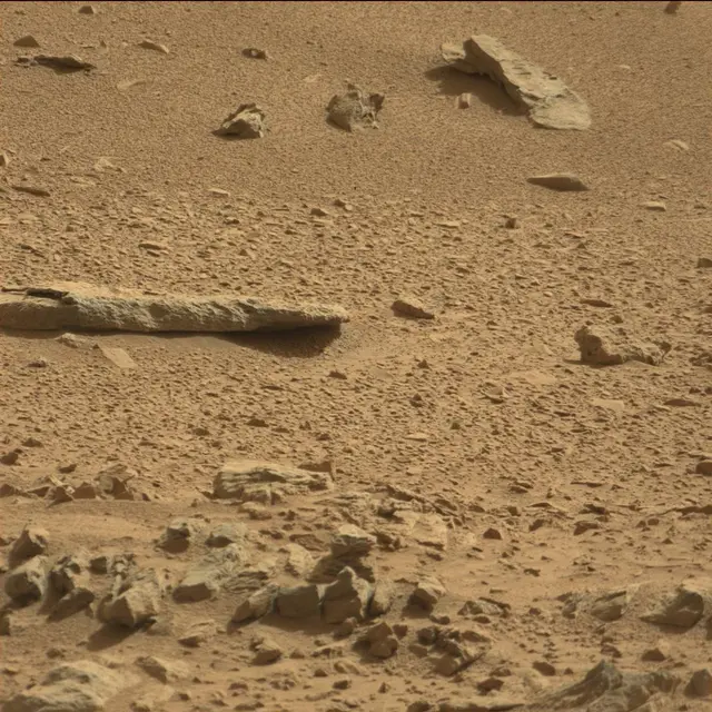 Sol 78: Mast Camera (Mastcam)