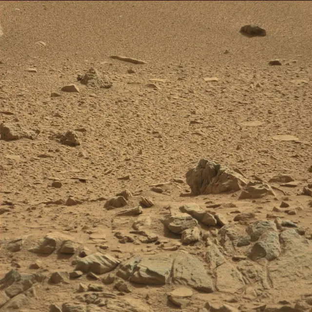 Sol 78: Mast Camera (Mastcam)