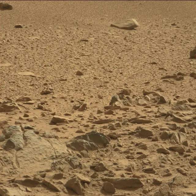 Sol 78: Mast Camera (Mastcam)