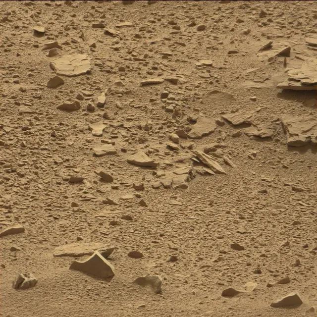 Sol 78: Mast Camera (Mastcam)
