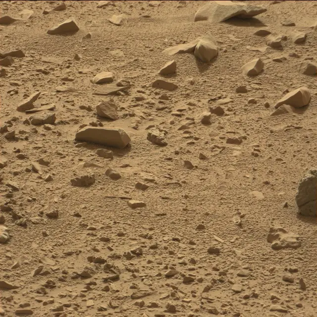Sol 78: Mast Camera (Mastcam)
