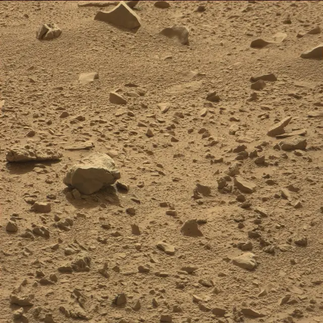 Sol 78: Mast Camera (Mastcam)