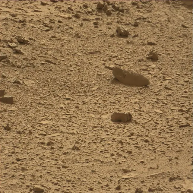 Sol 78: Mast Camera (Mastcam)