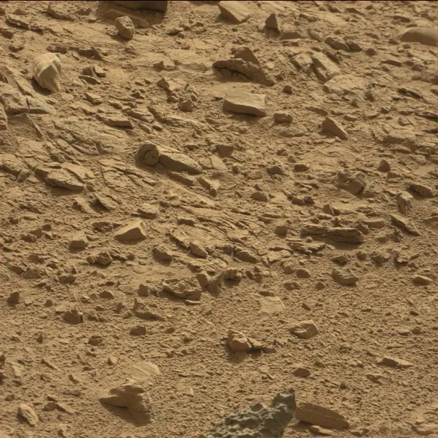 Sol 78: Mast Camera (Mastcam)