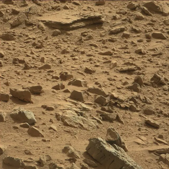 Sol 78: Mast Camera (Mastcam)
