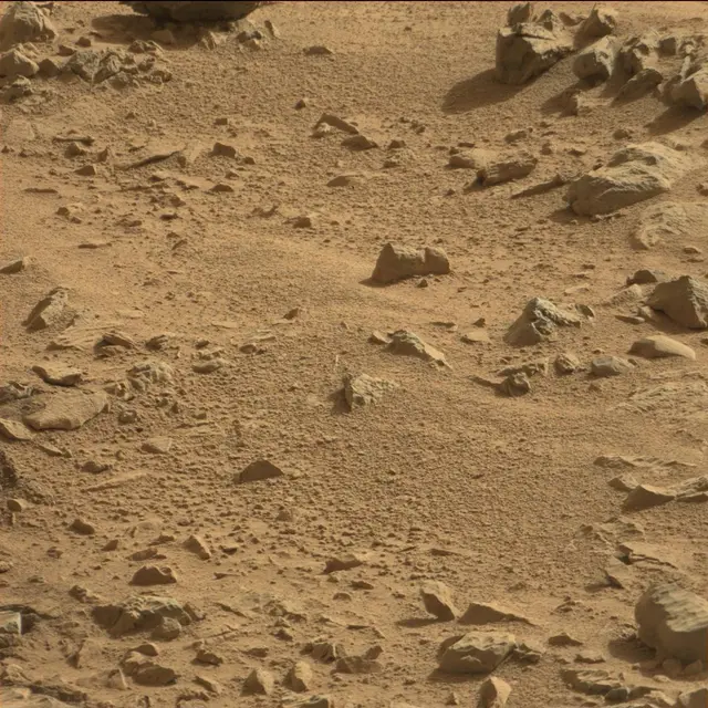 Sol 78: Mast Camera (Mastcam)