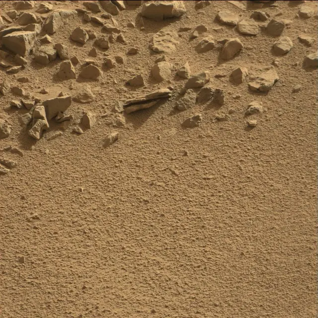 Sol 78: Mast Camera (Mastcam)