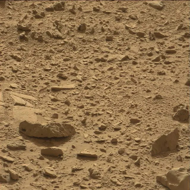 Sol 78: Mast Camera (Mastcam)