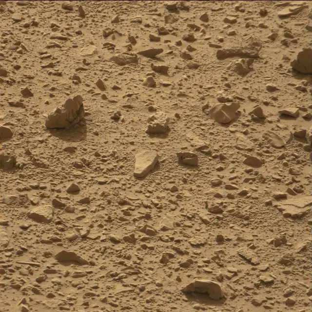 Sol 78: Mast Camera (Mastcam)