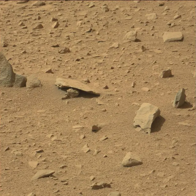 Sol 80: Mast Camera (Mastcam)